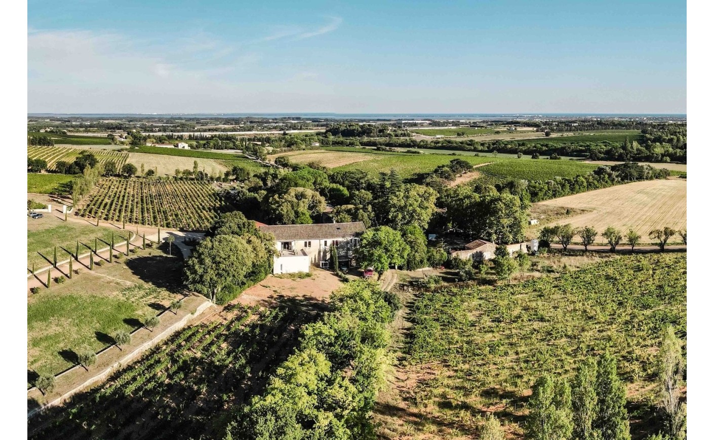 Domaine DéCalage, dans le Languedoc