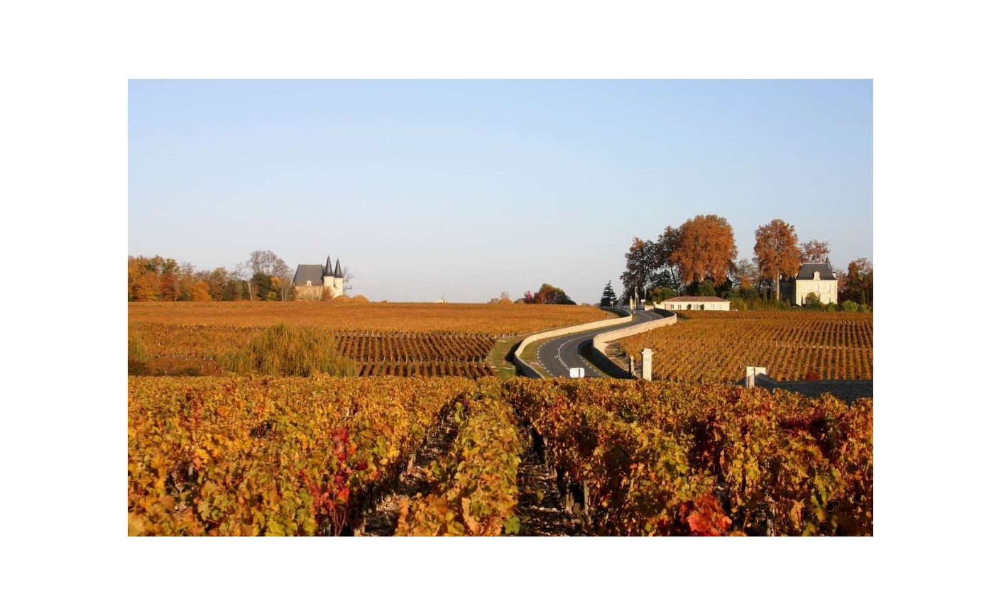 Margaux : guide complet d'une grande appellation du Médoc