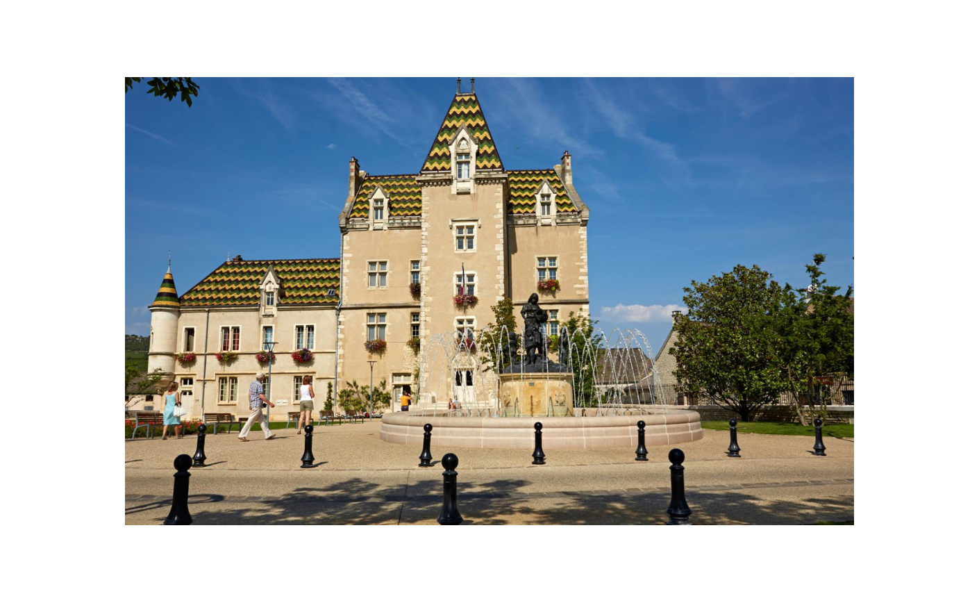 Meursault : guide complet d'une grande appellation bourguignonne
