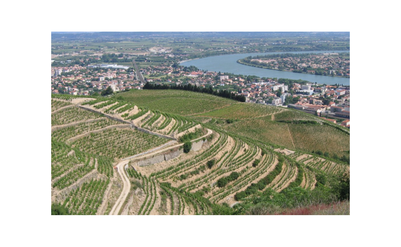 Hermitage : guide complet d'une appellation du Rhône