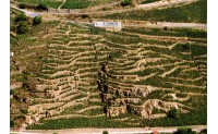 Côte-Rôtie : guide complet d'une appellation du Rhône