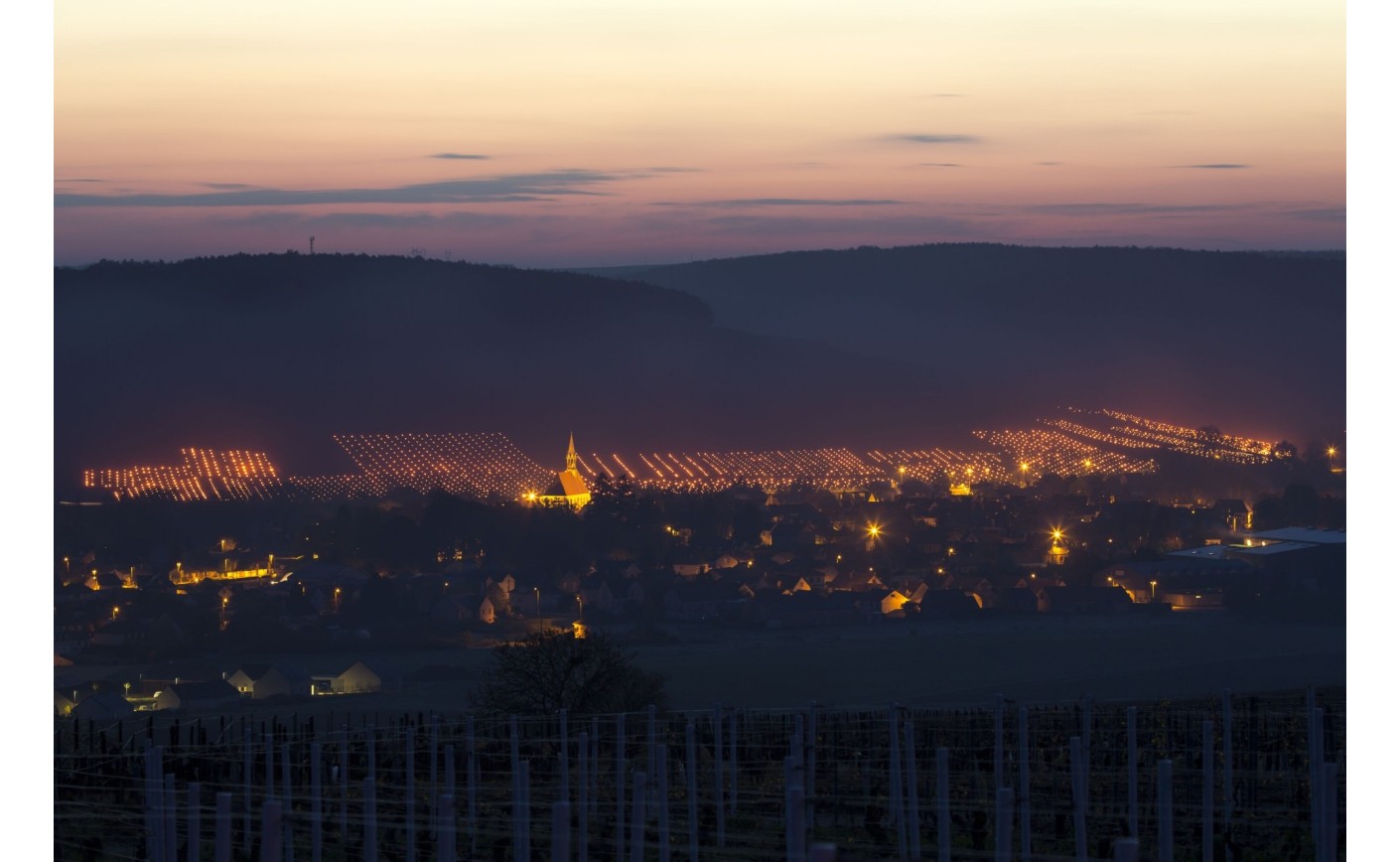 La vigne face au gel de printemps