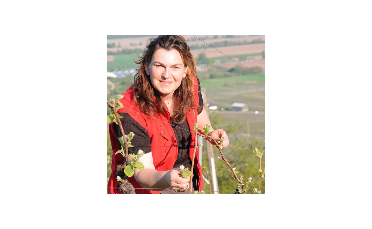 Domaine Gueth, vignerons en Alsace depuis 1725