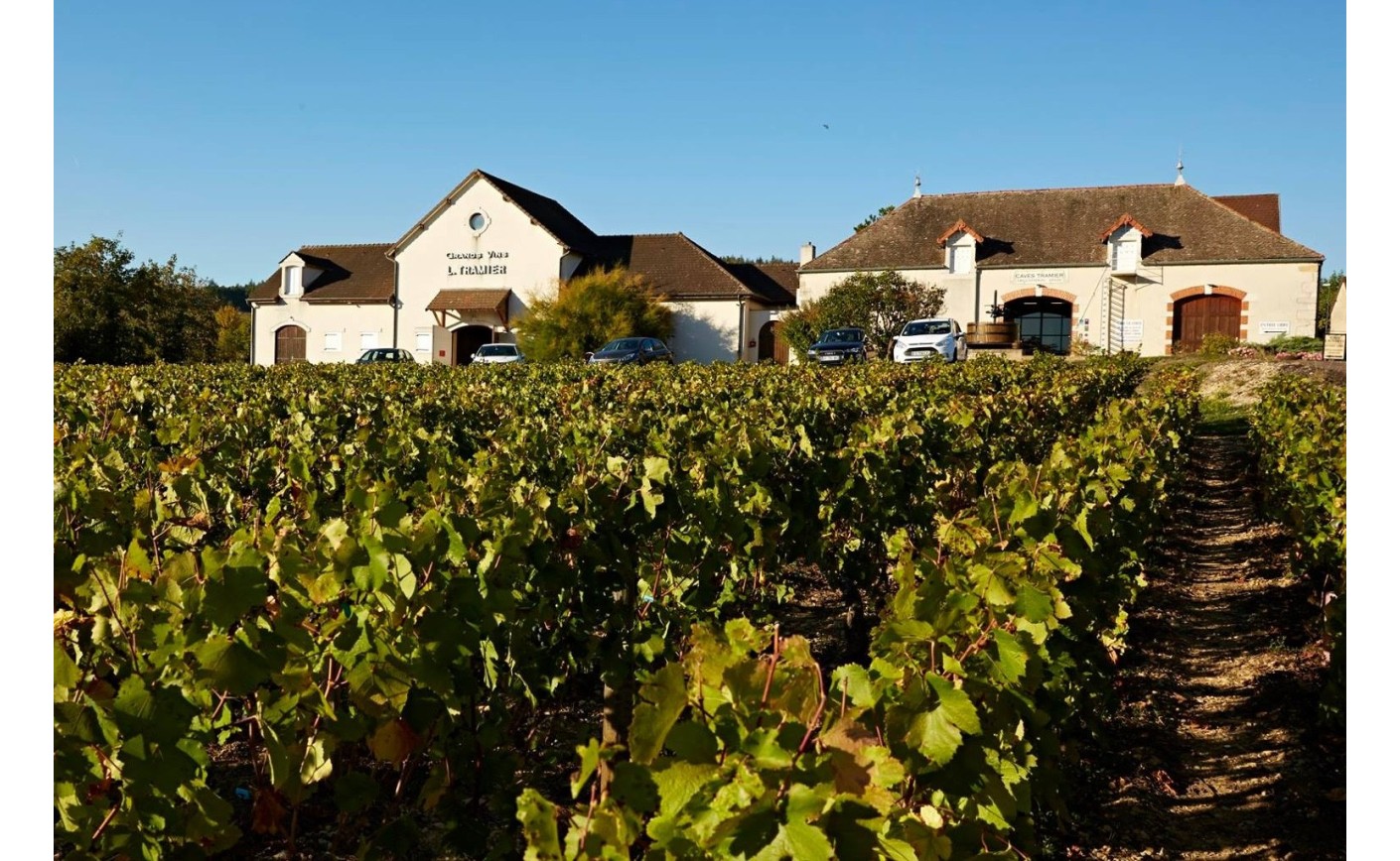 Les vins Roncier, le plaisir avant tout