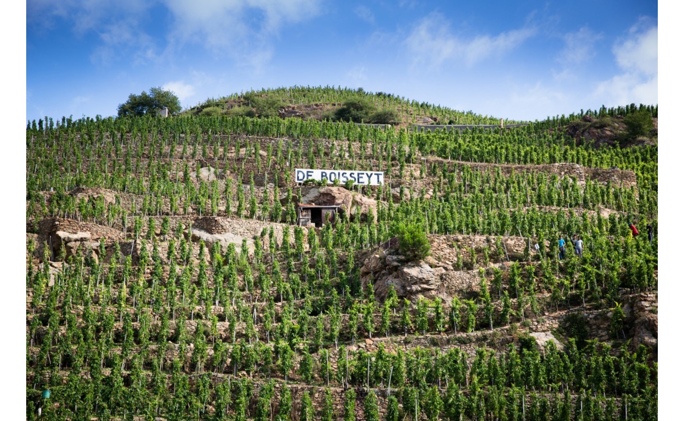 Domaine de Boisseyt