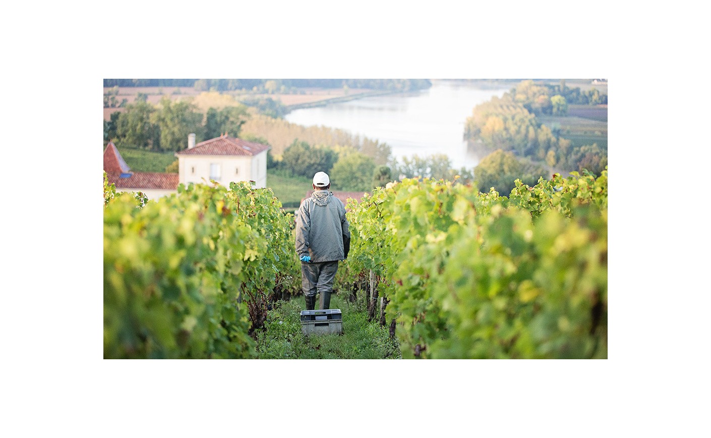 Bordeaux terre de savoirs