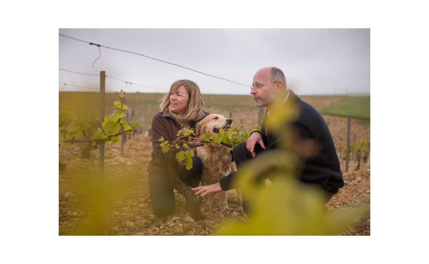 « À deux, c’est mieux ! » Direction Chablis avec le domaine L&C Poitout
