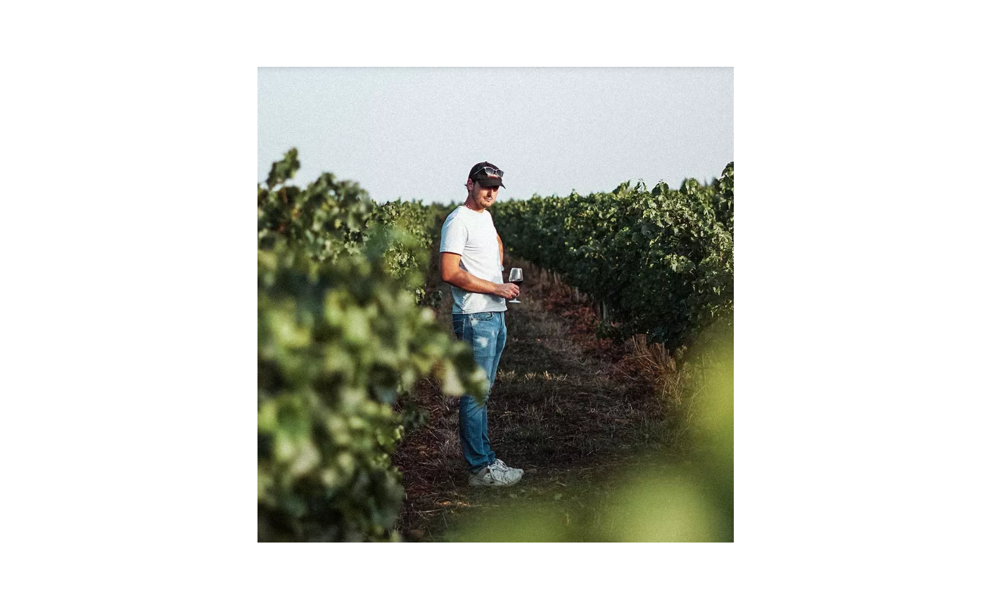 Domaine Antoine Armanet en Costières de Nîmes