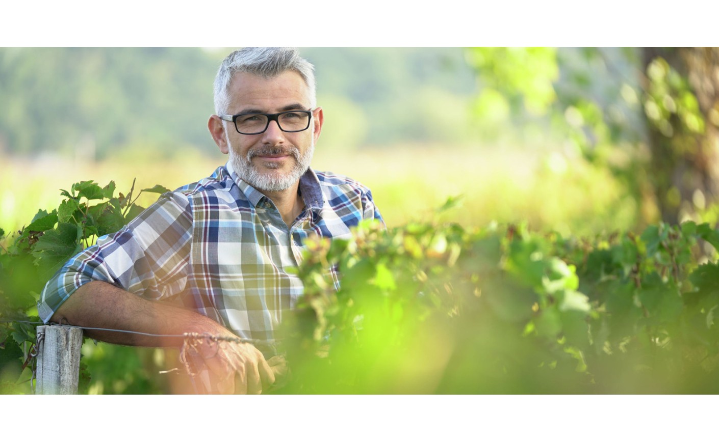 Comment soutenir nos vignerons français ?
